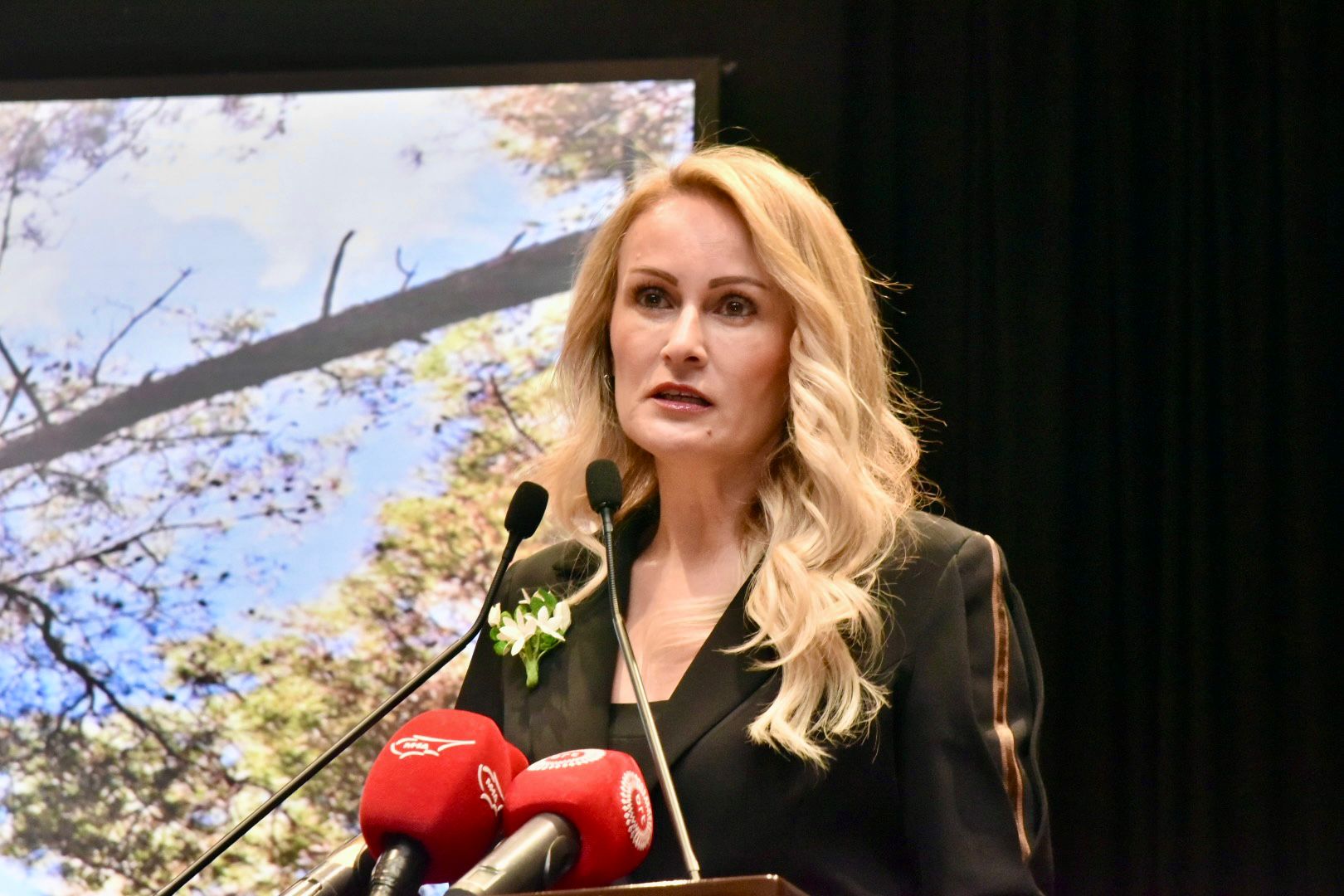 Yeniden Yeşil Kıbrıs Projesi: İnadına ağaç ekeceğiz