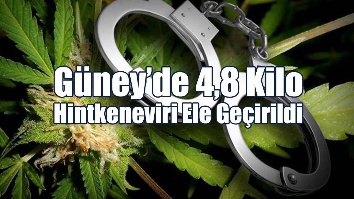 Güney’de 4,8 Kilo Hintkeneviri Ele Geçirildi
