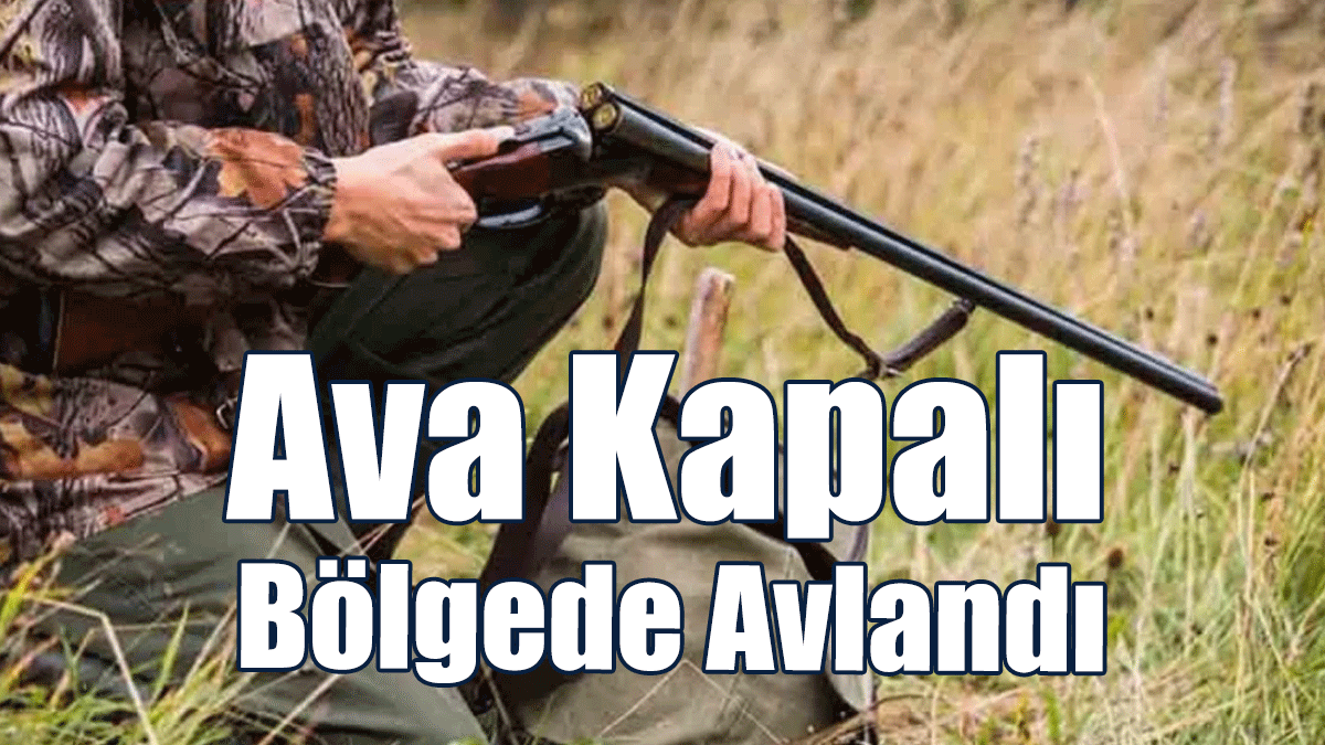Ava Kapalı Bölgede Avlandı, Hakkında Yasal İşlem Başlatıldı!