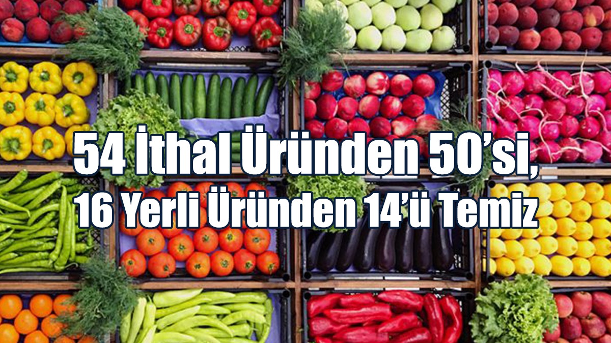 Gıda Denetimleri… 54 İthal Üründen 50’si, 16 Yerli Üründen 14’ü Temiz