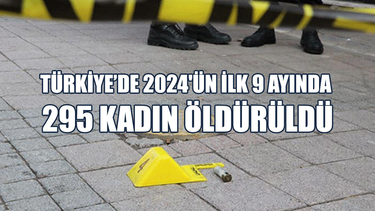 Türkiye'de Kadın Cinayetleri Durdurulamıyor