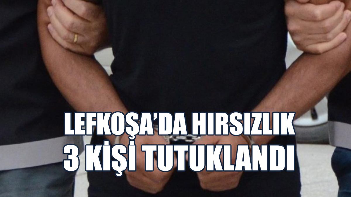 Bodrumdan Buzdolabı, Fırın Ve Koltuk Çaldılar