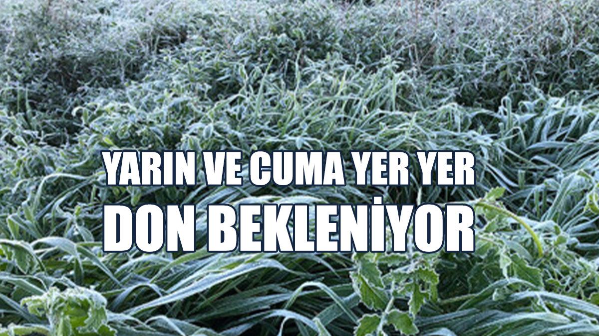Hava Sıcaklığı 19 Dereceye Kadar Yükselecek
