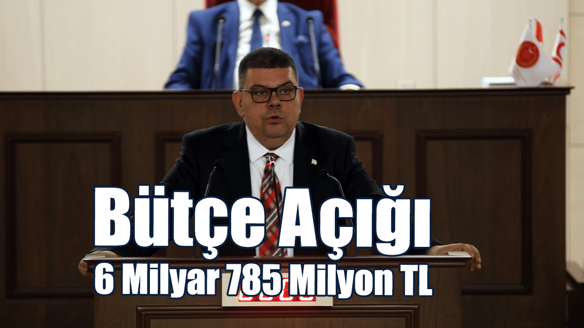 Maliye Bakanı Berova: Bütçe 88 Milyar 264 Milyon TL Olarak Onaylandı