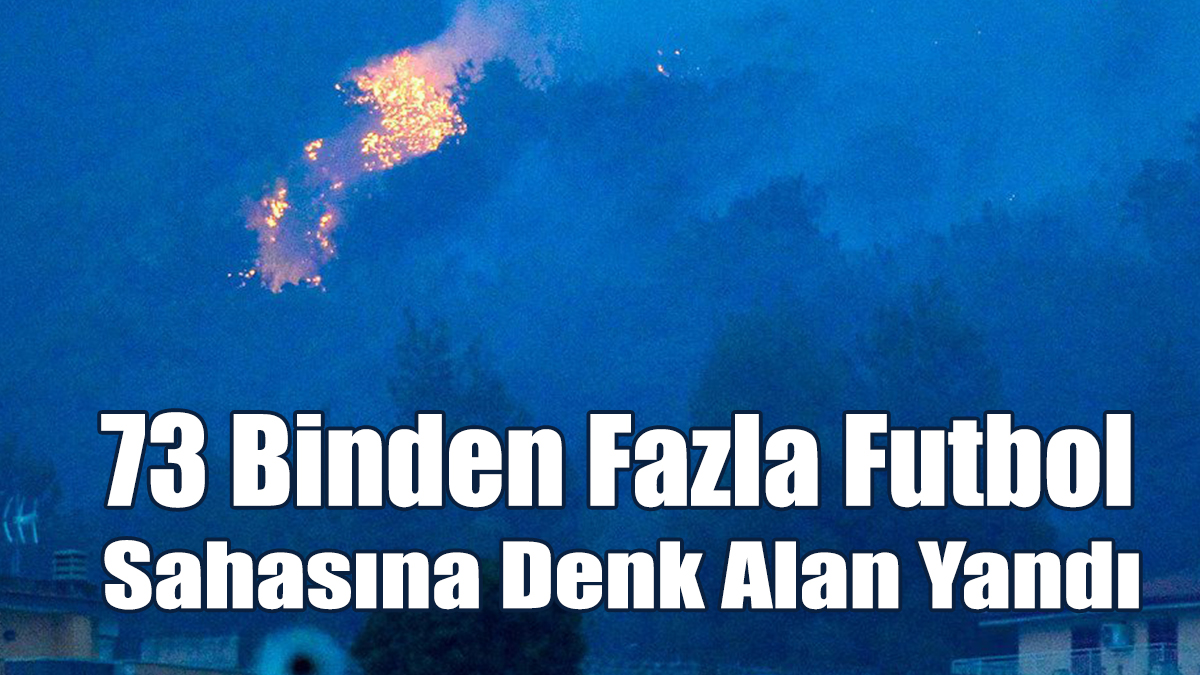 73 Binden Fazla Futbol Sahasına Denk Alan Yandı