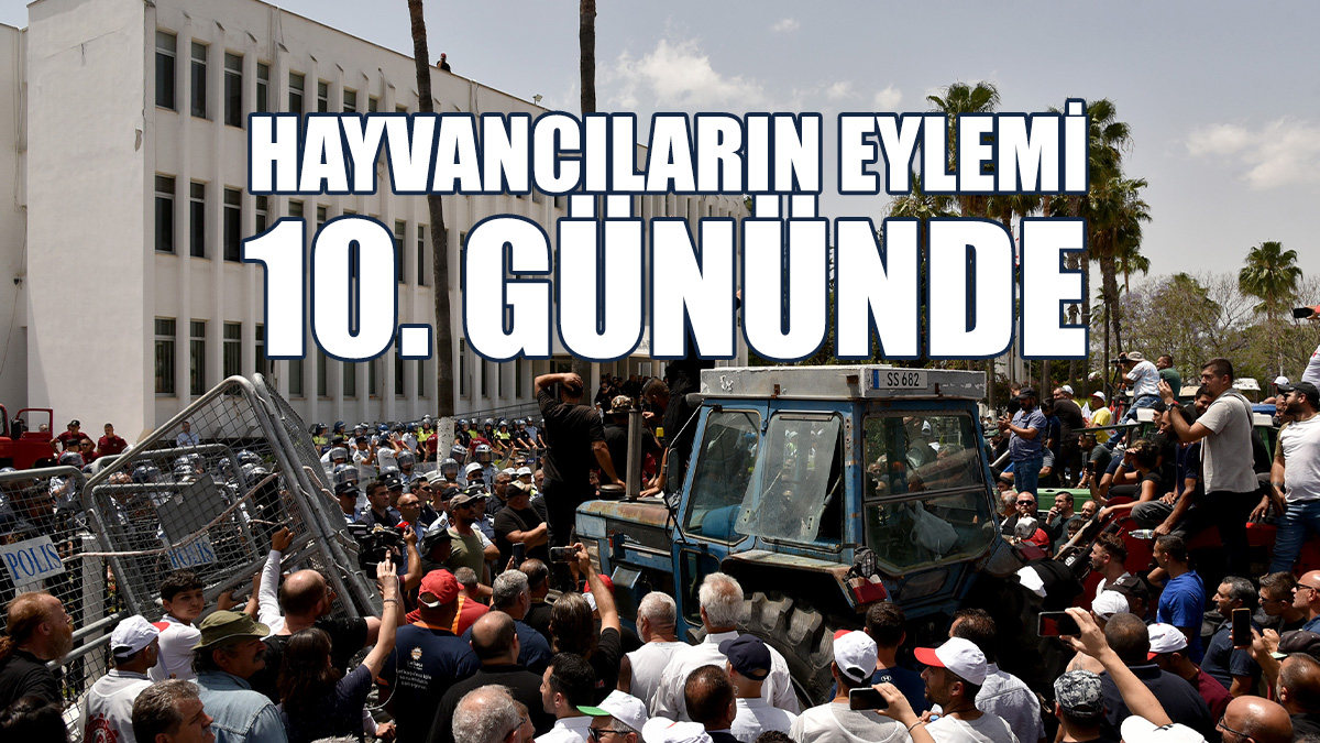 Naimoğulları Saat 13.00’te Başbakanlık Önünde Açıklama Yapacak