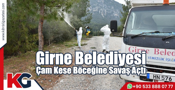 Girne Belediyesi Çam Kese Böceğine Savaş Açtı