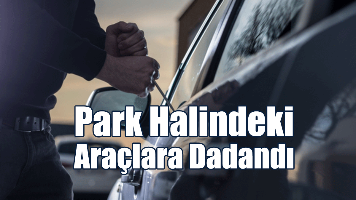 Ne Bulduysa Çaldı:  “Akü, Para, Hard Disk...”