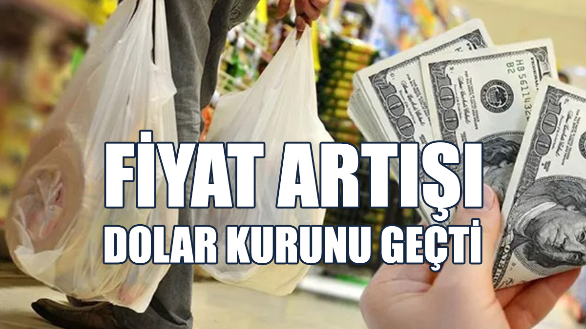 Ekonomist Kara: Dolar 4 Katına Çıkarken Fiyatlar 5,7 Katına Çıkmış