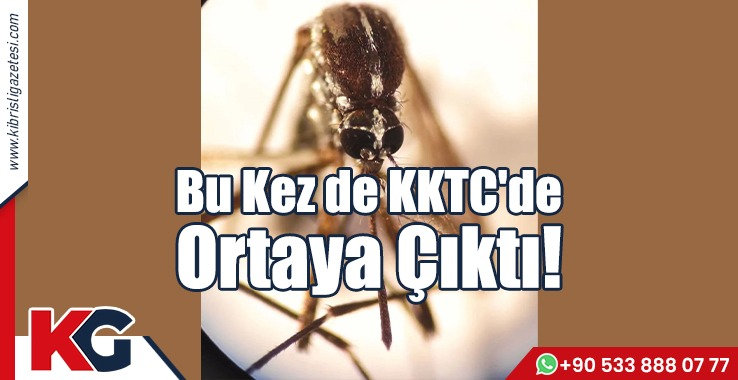 Bu Kez de KKTC'de Ortaya Çıktı!