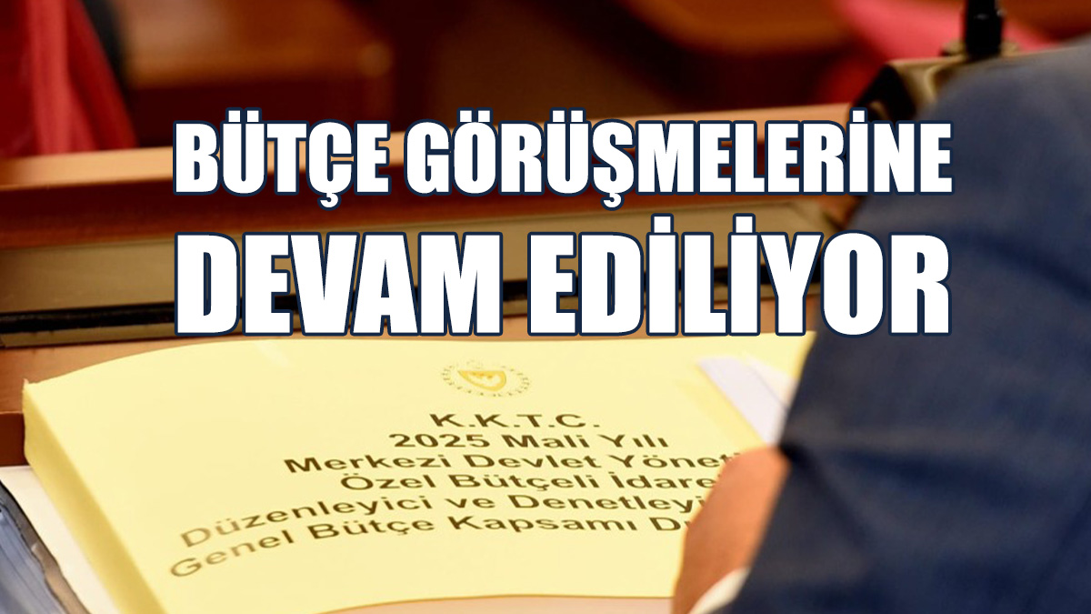 2025 Mali Yılı Bütçe Yasa Tasarısı’nın Görüşülmesine Devam Ediliyor