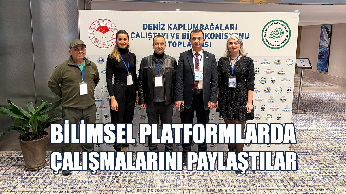 Meritta Deniz Kaplumbağaları Rehabilitasyon Merkezi Çalışmalarını Paylaştı