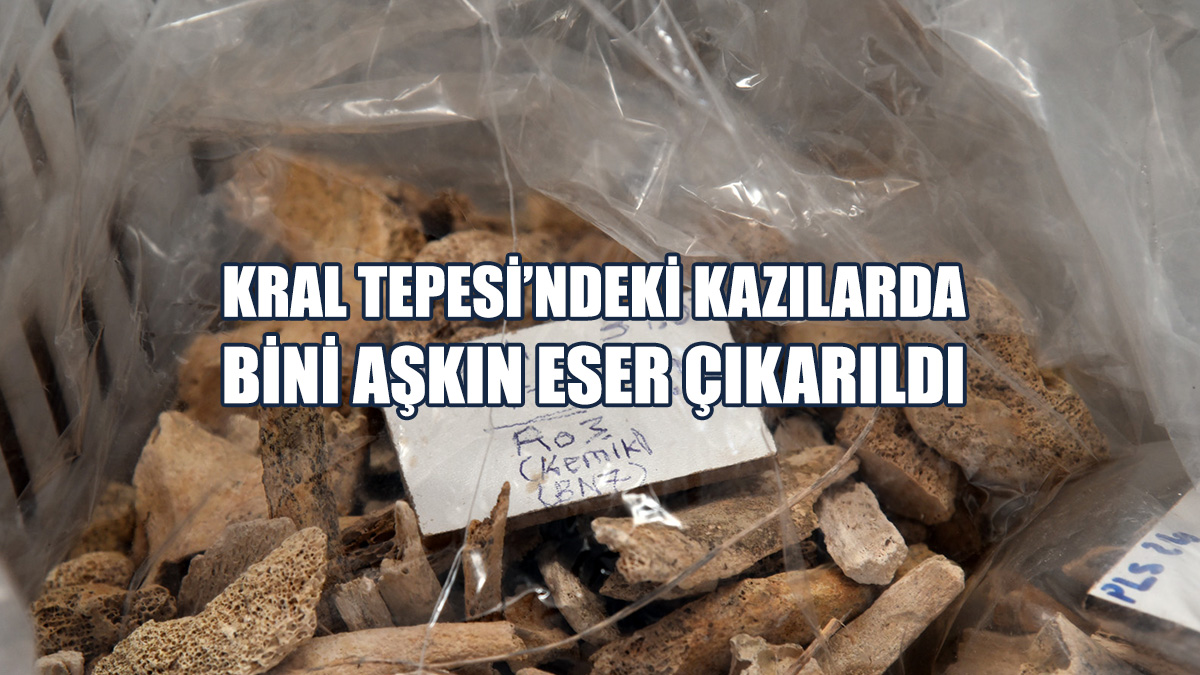 Kral Tepesi’ndeki Kazılarda Bini Aşkın Eser Çıkarıldı