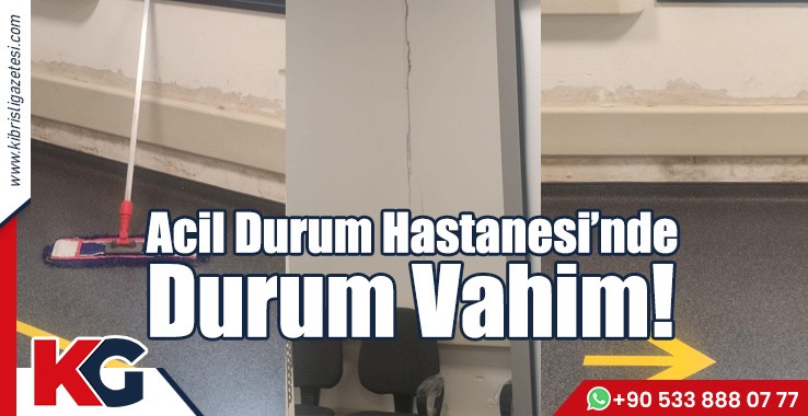 Lağım Kokuyor, Rutubet İçinde!