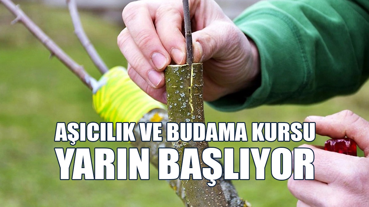 Aşıcılık Ve Budama Kursu Yarın Başlıyor