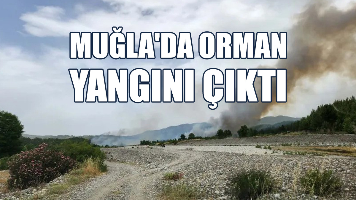 Muğla'nın Milas İlçesinde Orman Yangını Çıktı