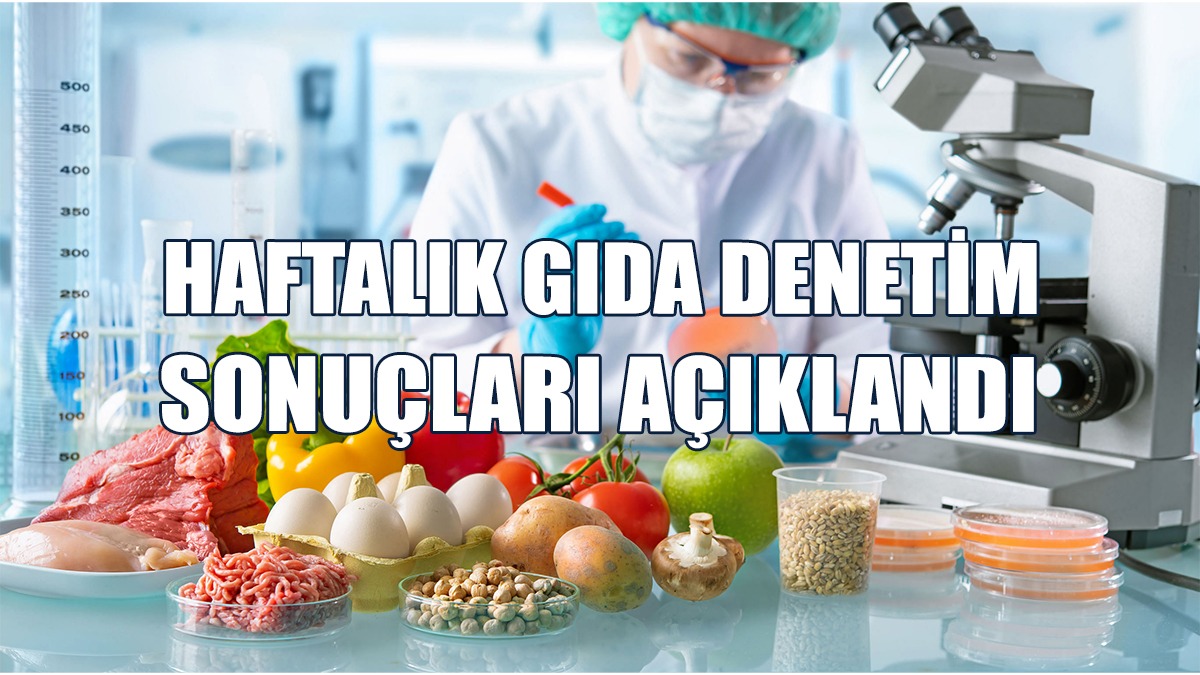 Sebze-Meyve Denetimleri…
