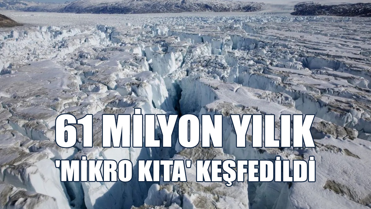 61 Milyon Yılık 'Mikro Kıta' Keşfedildi