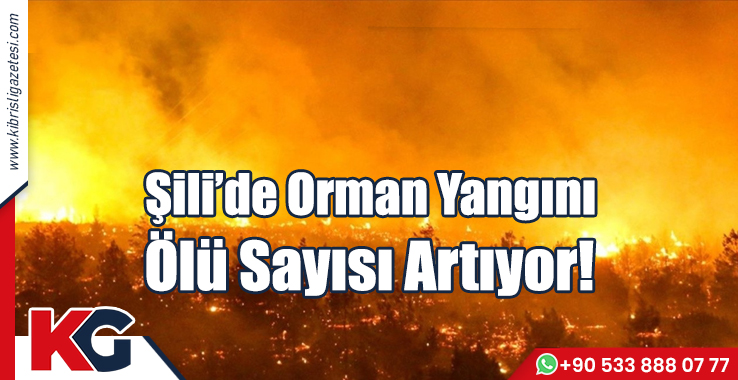 Şili'de Orman Yangını! Ölü Sayısı Artıyor!