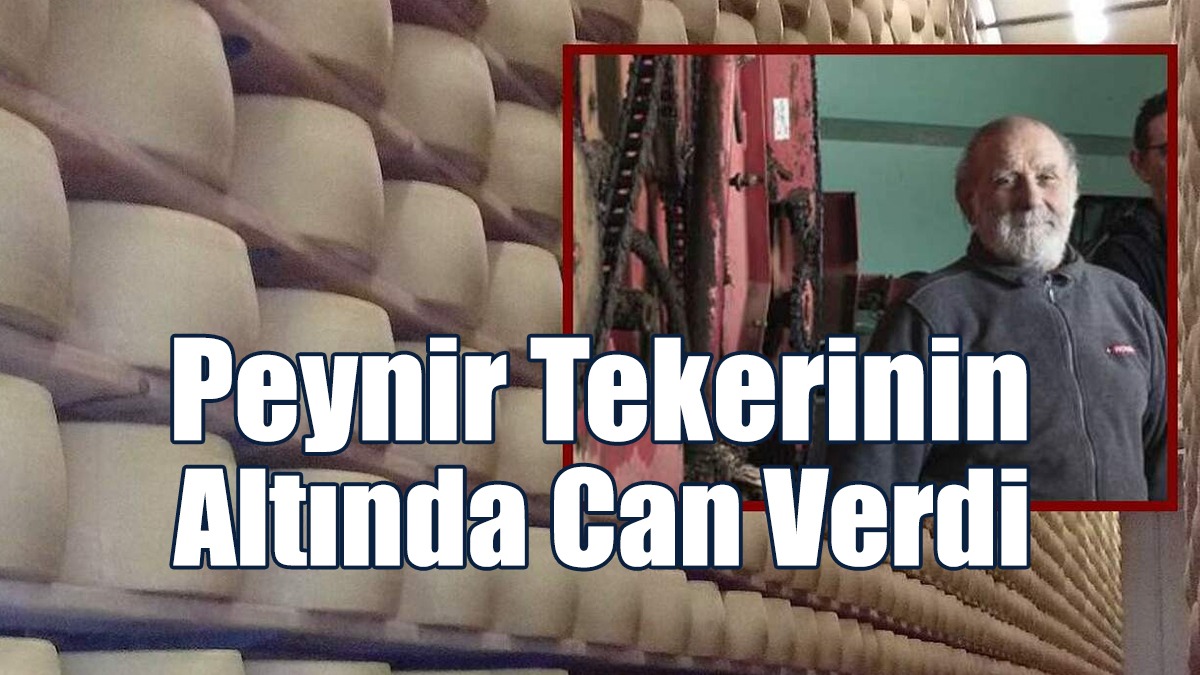 Peynir Tekerinin Altında Can Verdi