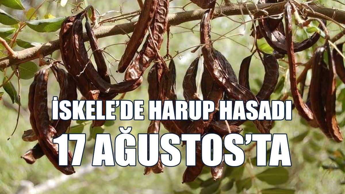 Hasat, 17 Ağustos’ta Başlıyor