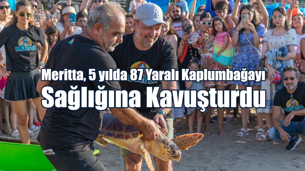 Meritta, 5 yılda 87 Yaralı Kaplumbağayı Sağlığına Kavuşturdu