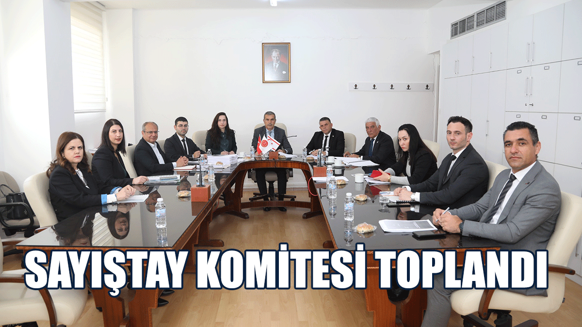 Sayıştay Komitesi Toplandı