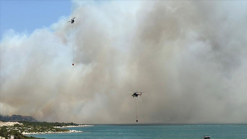 İzmir'de çıkan orman yangınına müdahale ediliyor