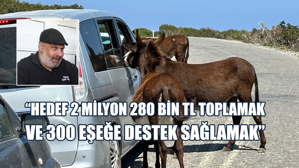 Eşek Yönetim Projesi Kapsamında Bilgilendirme Toplantısı Yapıldı