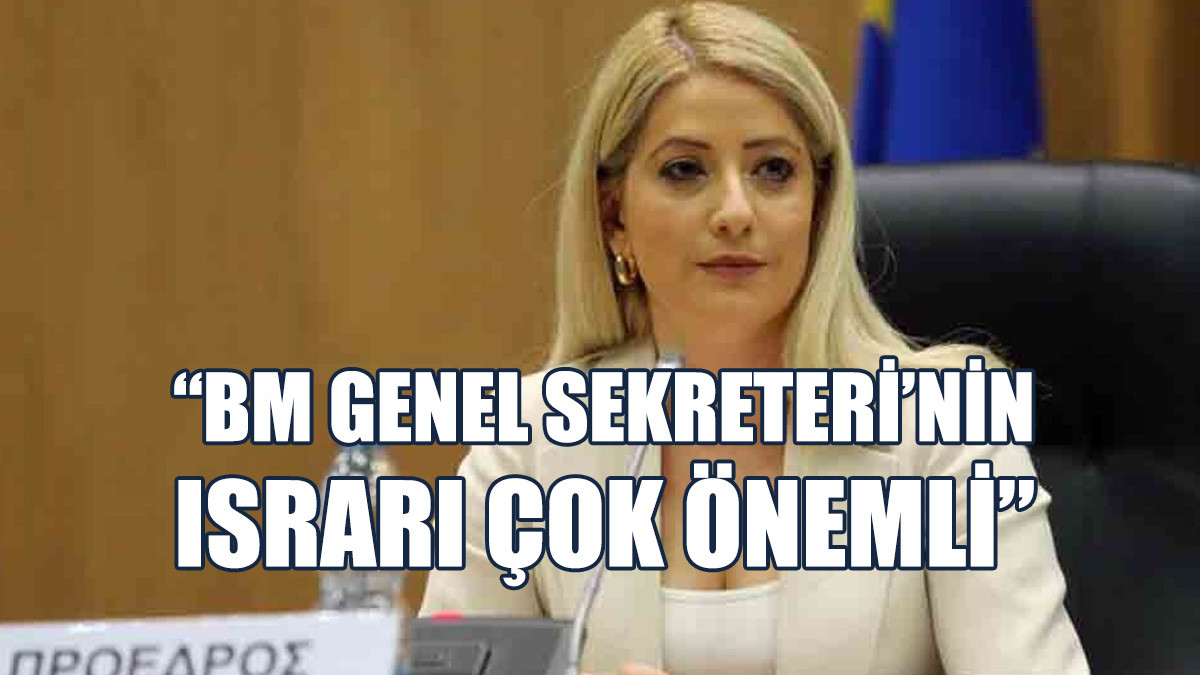 “AB Kıbrıs Temsilcisi Atamak Niyetinde”