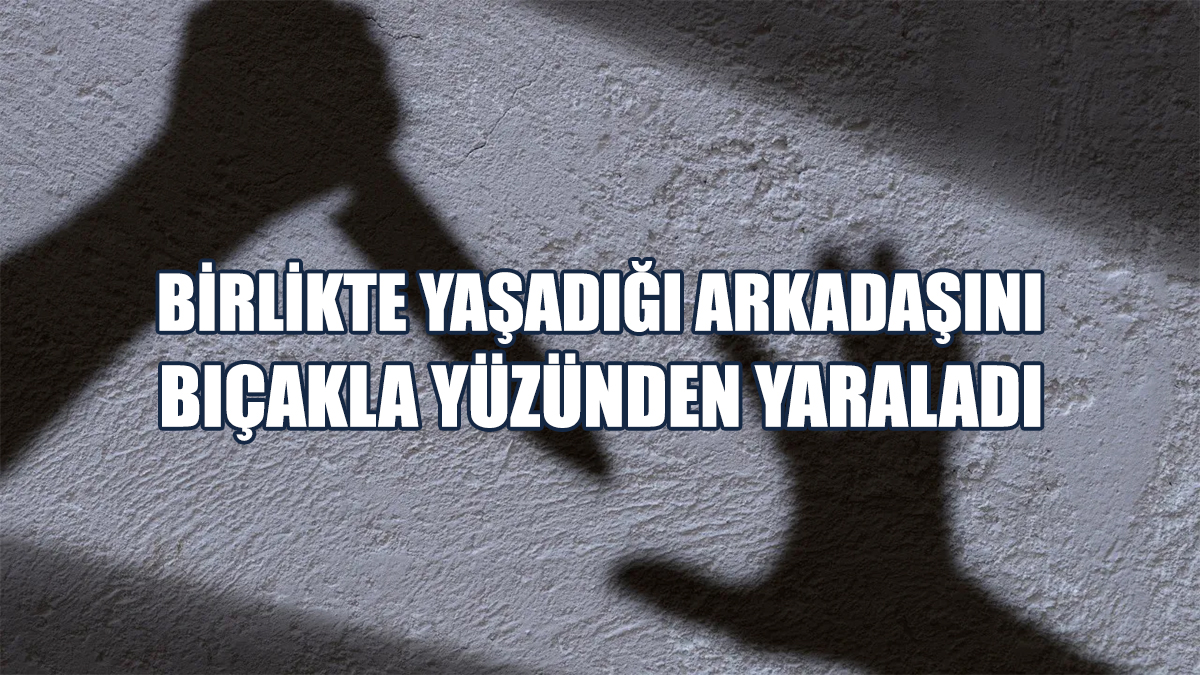 Birlikte Yaşadığı Arkadaşını Bıçakla Yüzünden Yaraladı