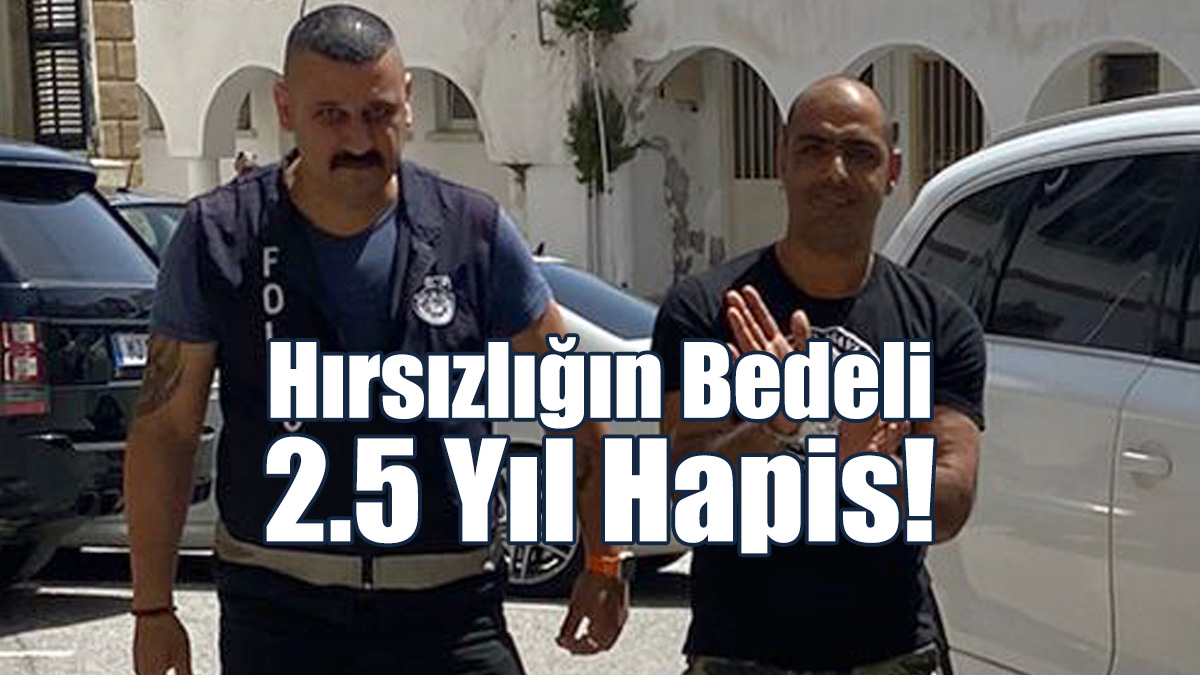Hırsızlığın Bedeli 2.5 Yıl Hapis!