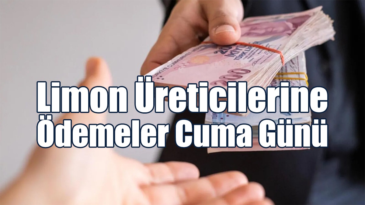 Ton Başına 1000 TL Verilecek!