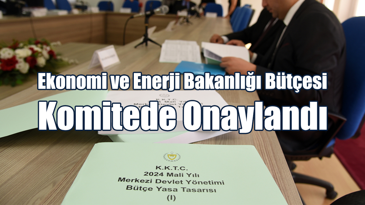 Ekonomi ve Enerji Bakanlığı Bütçesi Komitede Onaylandı