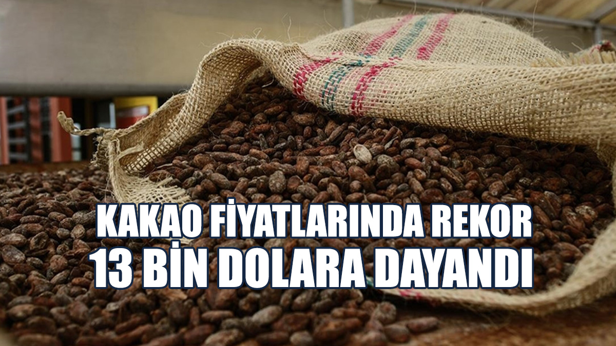 Kakaonun Ton Başına Fiyatı 12 Bin 931 Dolarla Tarihi Zirveyi Gördü