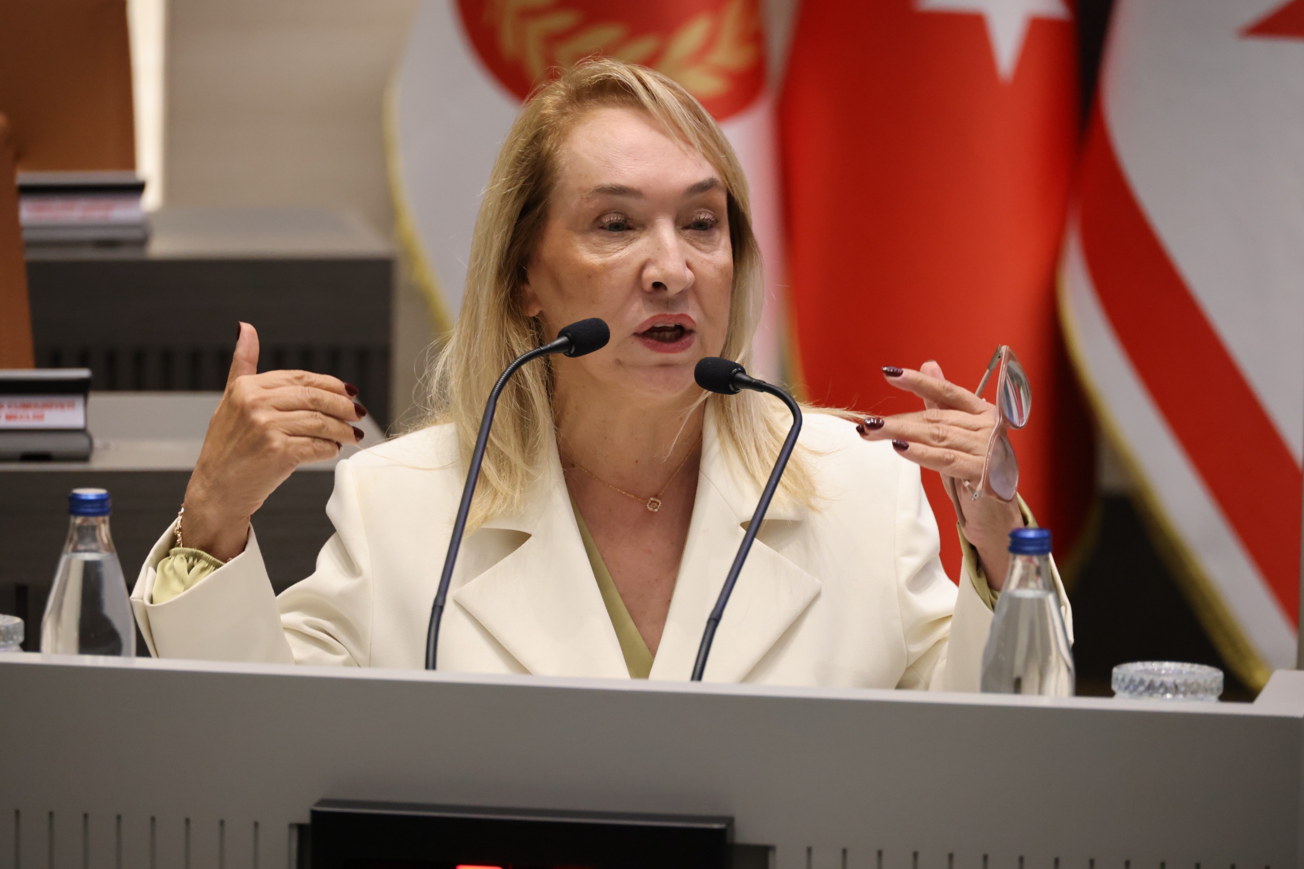 Besim: Sağlık hizmetleri SOS veriyor