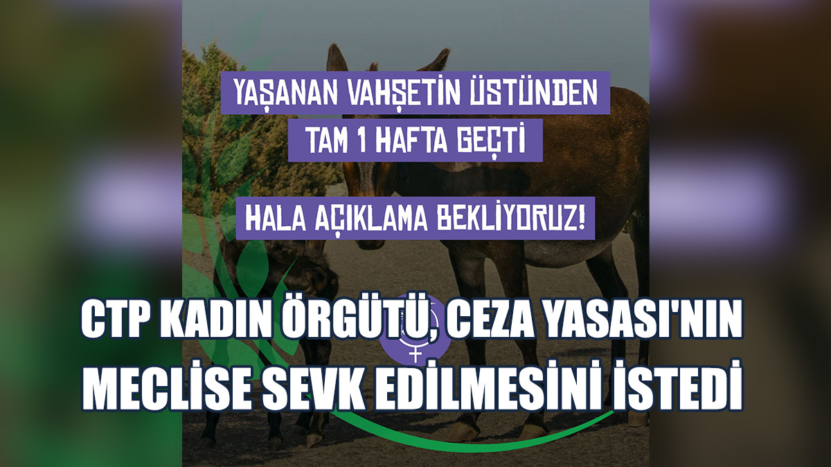 "Vahşetin Üstünden Tam 1 Hafta Geçti, Hala Açıklama Bekliyoruz!"