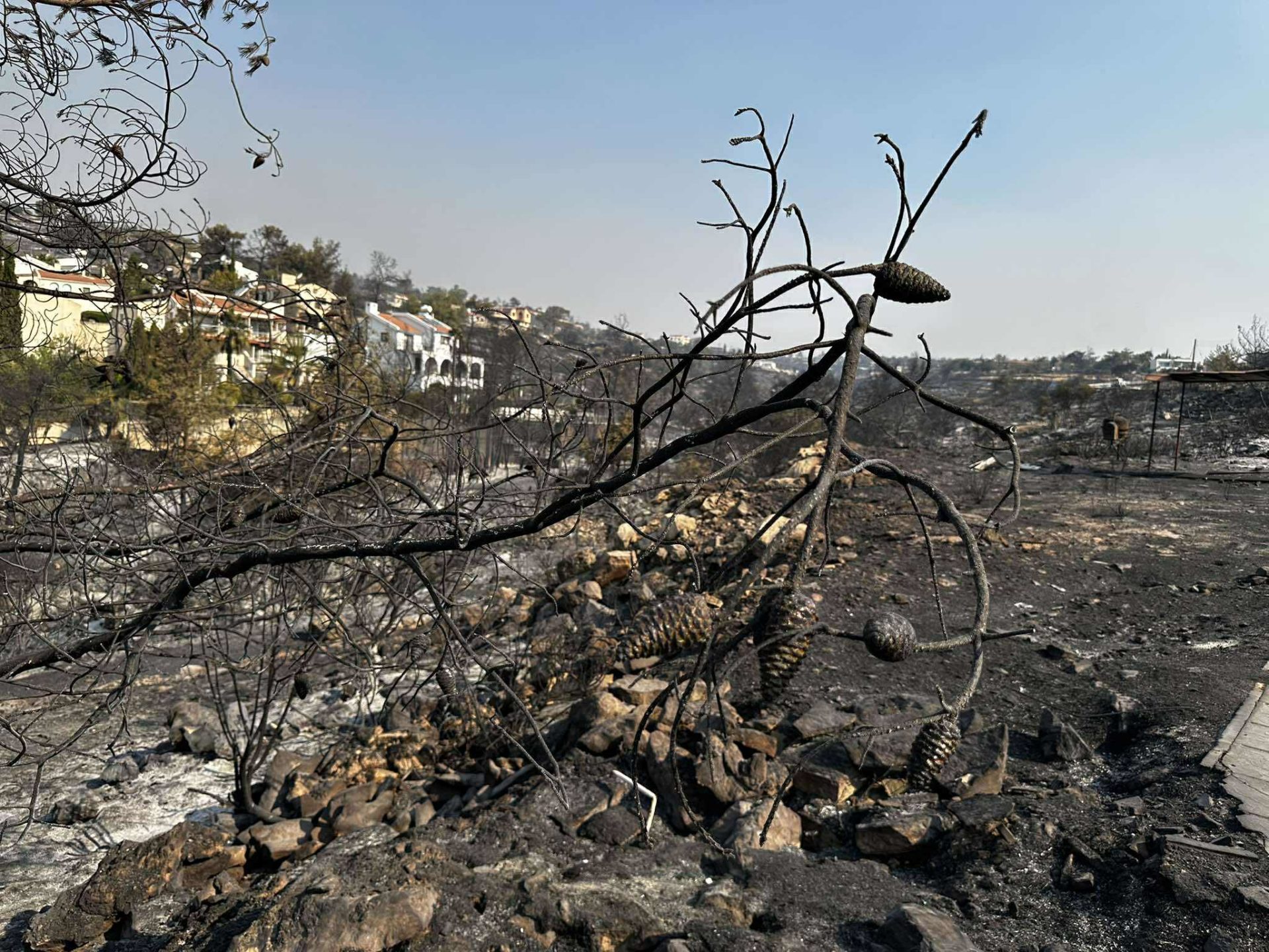 Limasol yangını... Logginos: Bugün durum çok daha iyi