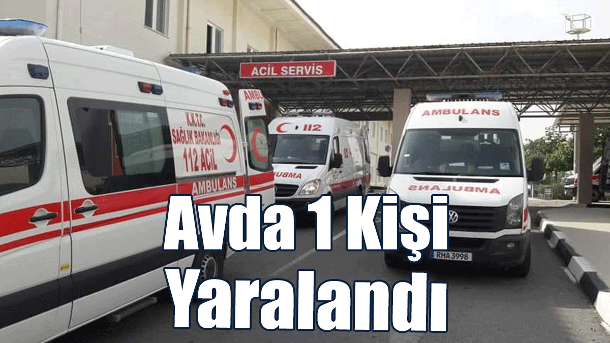 Avda 1 Kişi Yaralandı