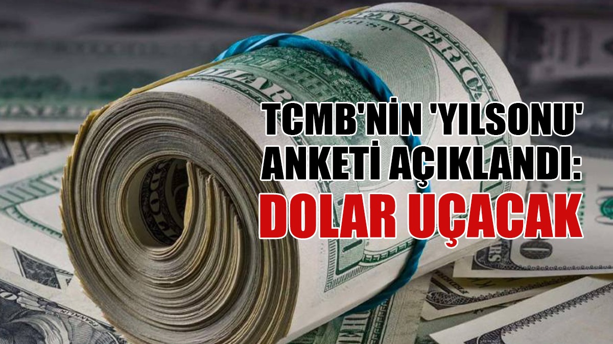 TCMB'nin 'Yılsonu' Anketi Açıklandı: Dolar Uçacak
