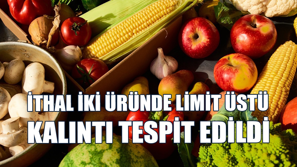 Gıda Denetimleri…