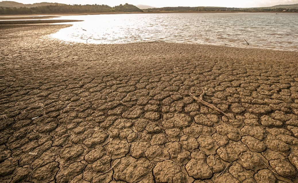 Türkiye’de 60 yılda kaybedilen sulak alanlar Marmara Denizi'nin büyüklüğünü aştı