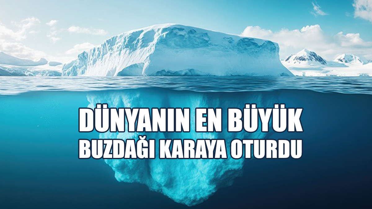 Dünyanın En Büyük Buzdağı Karaya Oturdu