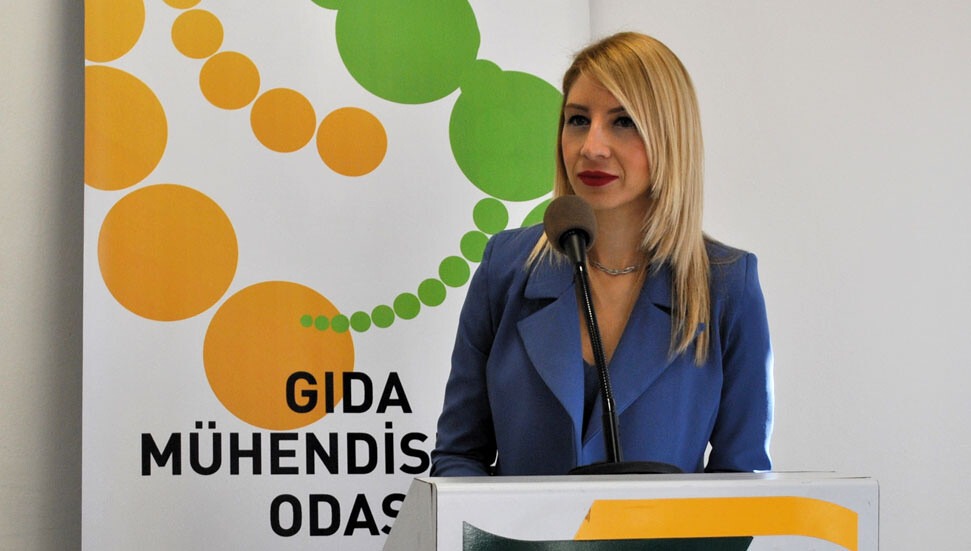 Gıda Mühendisleri Odası, festivallerdeki gıda güvenliği sıkıntılarına dikkat çekti