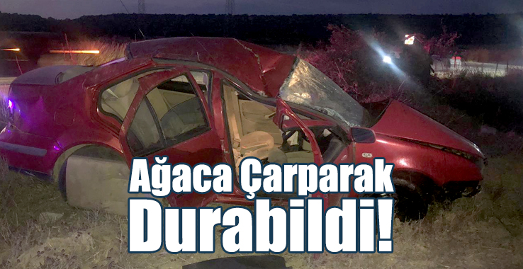 Ağaca Çarparak Durabildi; 2 Yaralı