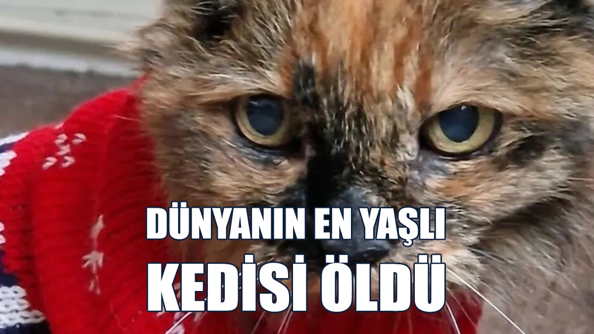 Rosie'nin Yaşı, İnsan Yaşına Göre 152 Yıla Denk Geliyordu