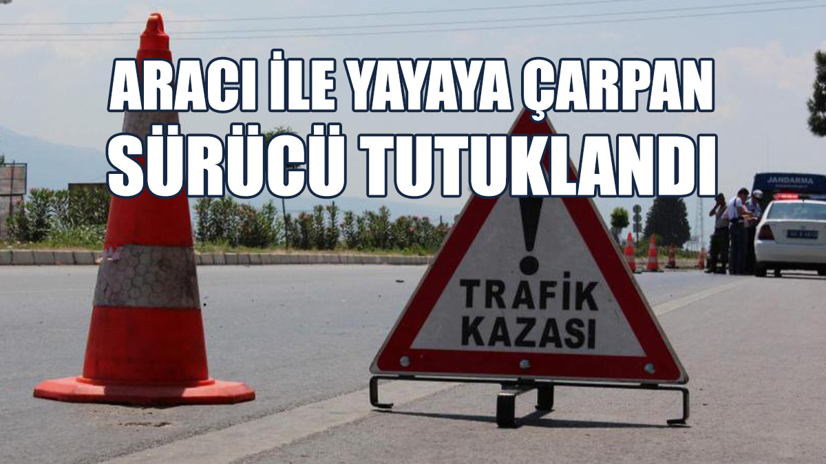 Yayanın Tedavisi Sürüyor