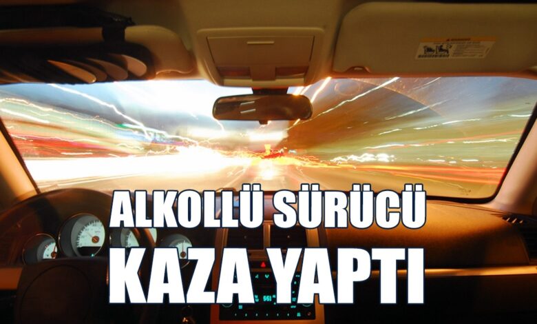 Önce Tabelaya Sonra Park Halindeki Araçlara Çarptı