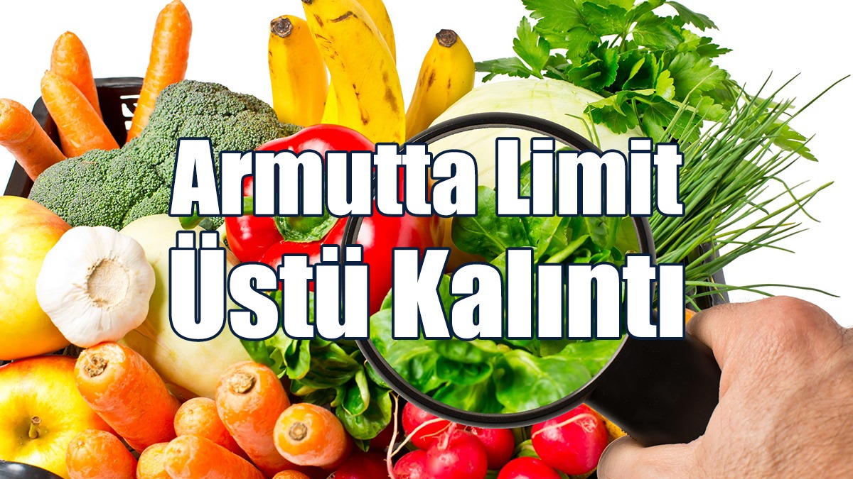1 İthal Üründen Limit Üstü Kalıntı Tespit Edildi!