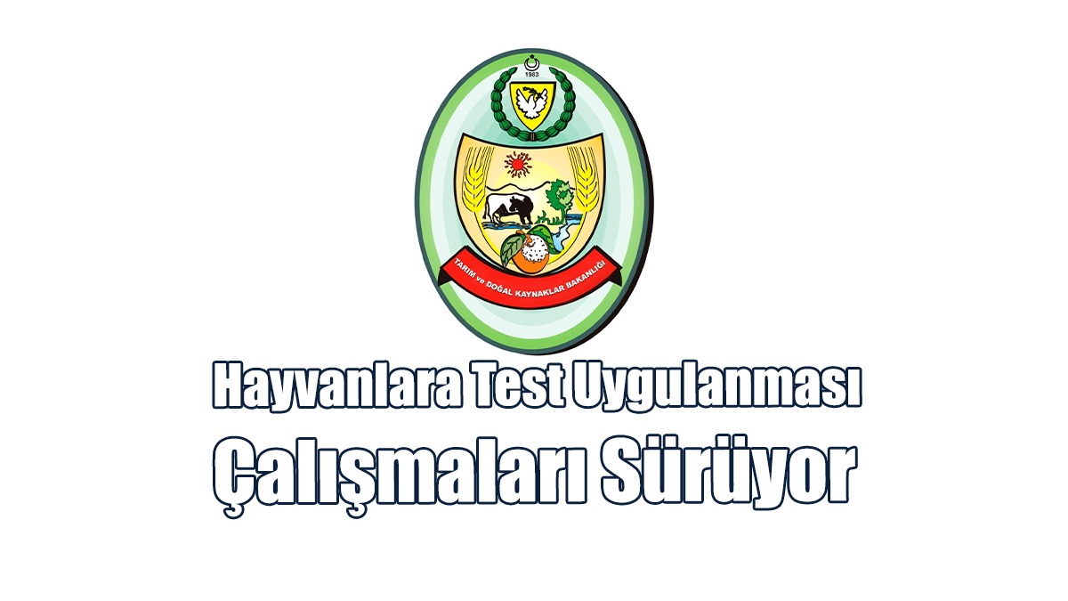 Hayvanlara Test Uygulanması Çalışmaları Sürüyor